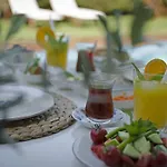 Hotel Roka