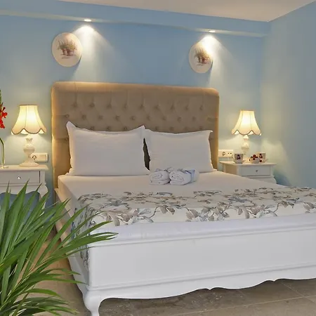 Hotel Roka