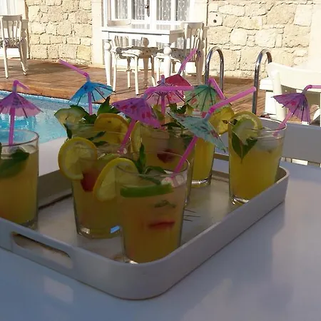 Hotel Roka